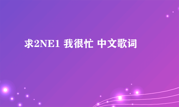 求2NE1 我很忙 中文歌词