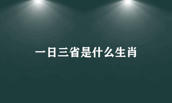 一日三省是什么生肖