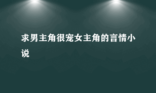 求男主角很宠女主角的言情小说