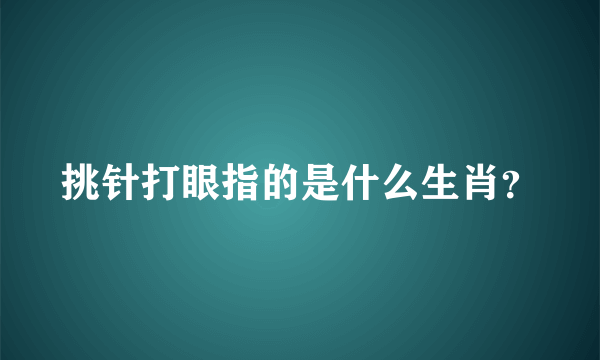 挑针打眼指的是什么生肖？