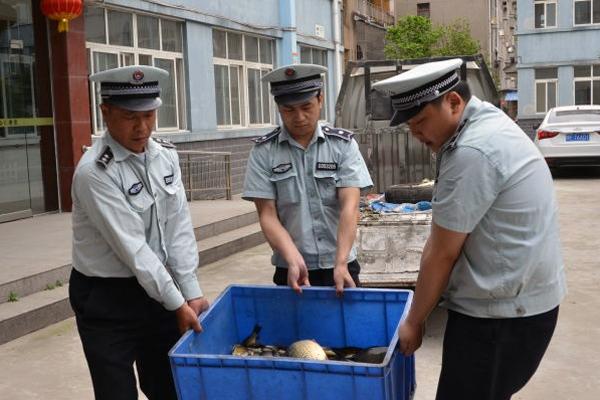 事发泗阳，城管队员进店撕毁商家广告牌遭质疑，这算侵犯公民财产吗？