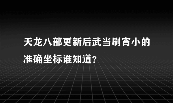 天龙八部更新后武当刷宵小的准确坐标谁知道？