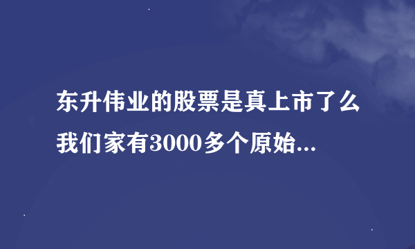 东升伟业的股票是真上市了么我们家有3000多个原始股。怎么才能换RMB啊  ？    谁能告诉我？  谢谢 ~！！！