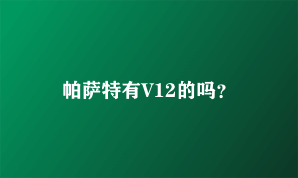 帕萨特有V12的吗？