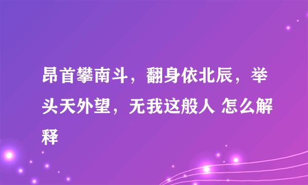 昂首攀南斗，翻身依北辰，举头天外望，无我这般人 怎么解释