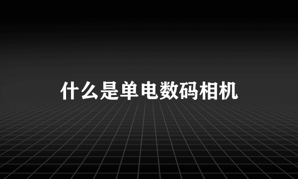 什么是单电数码相机