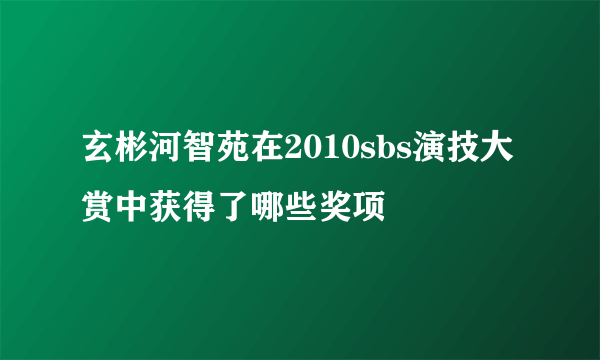 玄彬河智苑在2010sbs演技大赏中获得了哪些奖项