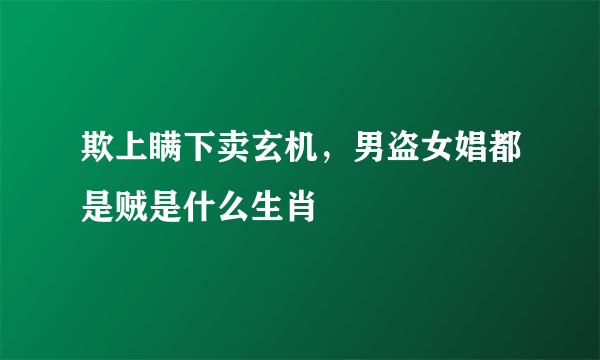 欺上瞒下卖玄机，男盗女娼都是贼是什么生肖