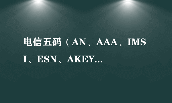 电信五码（AN、AAA、IMSI、ESN、AKEY） 是什么意思 在一般的电信营业可以办理吗？