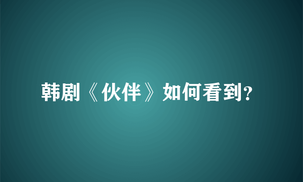 韩剧《伙伴》如何看到？