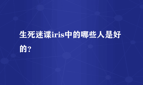 生死迷谍iris中的哪些人是好的？