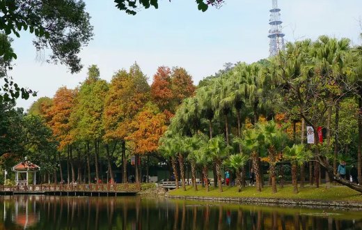 广州旅游必去十大景点