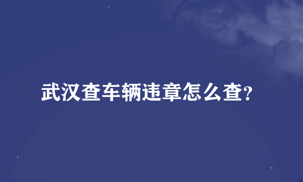 武汉查车辆违章怎么查？