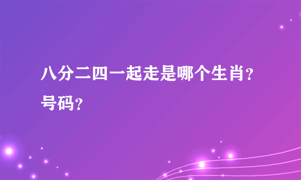 八分二四一起走是哪个生肖？号码？