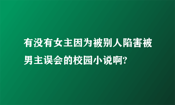 有没有女主因为被别人陷害被男主误会的校园小说啊?