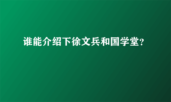 谁能介绍下徐文兵和国学堂？