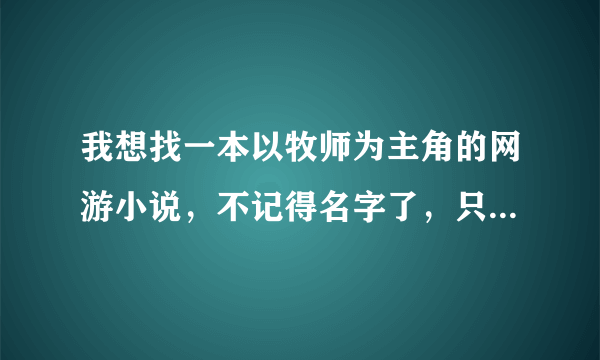 我想找一本以牧师为主角的网游小说，不记得名字了，只记得主角是男士，经常使用一些格斗技巧打怪