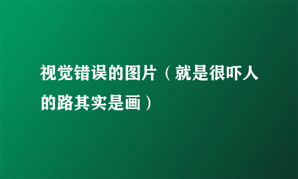 视觉错误的图片（就是很吓人的路其实是画）