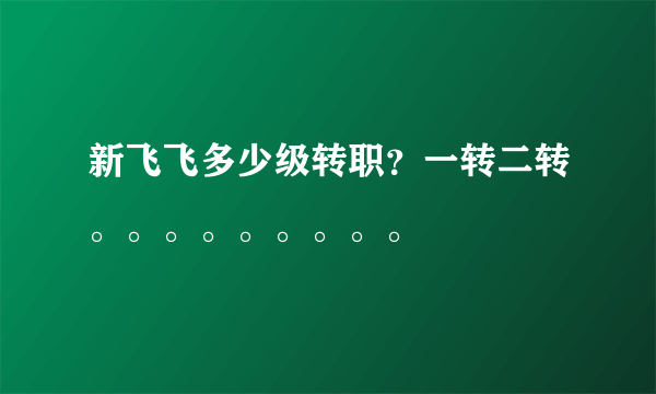 新飞飞多少级转职？一转二转。。。。。。。。。