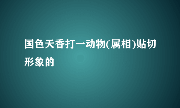 国色天香打一动物(属相)贴切形象的