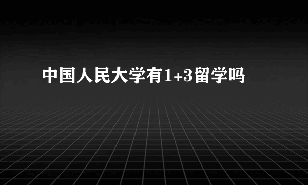 中国人民大学有1+3留学吗