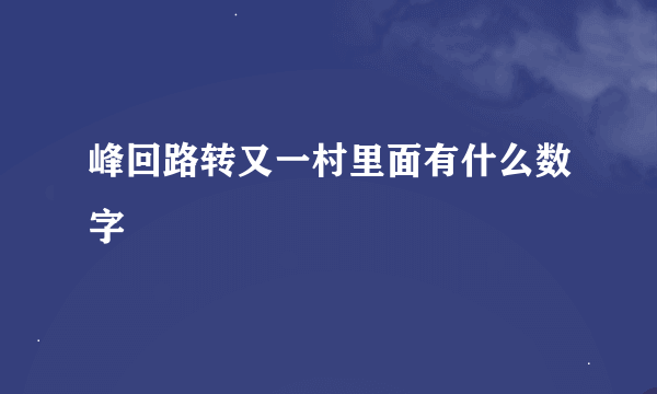 峰回路转又一村里面有什么数字