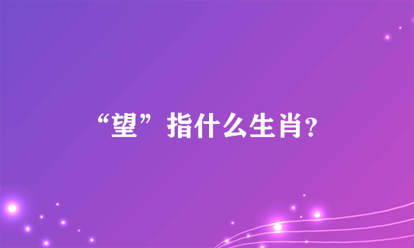 “望”指什么生肖？