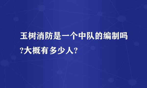 玉树消防是一个中队的编制吗?大概有多少人?