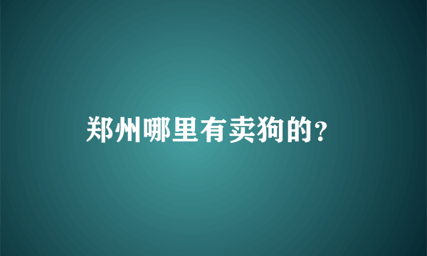 郑州哪里有卖狗的？