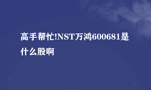 高手帮忙!NST万鸿600681是什么股啊