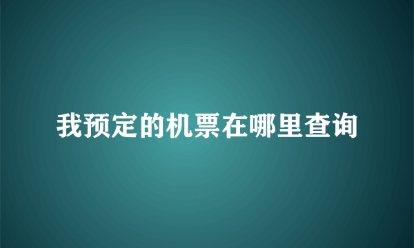 我预定的机票在哪里查询