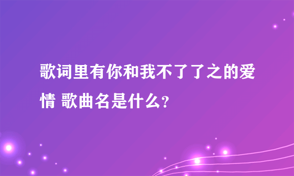 歌词里有你和我不了了之的爱情 歌曲名是什么？