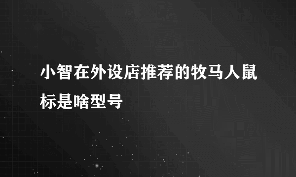 小智在外设店推荐的牧马人鼠标是啥型号