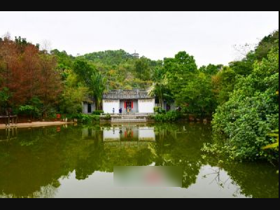 深圳有哪些好玩的免费景点 深圳免费旅游景点大全