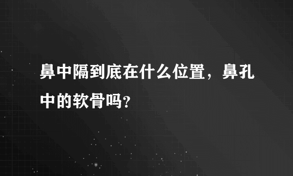 鼻中隔到底在什么位置，鼻孔中的软骨吗？