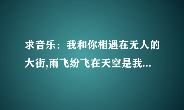 求音乐：我和你相遇在无人的大街,雨飞纷飞在天空是我的泪水...是哪首歌名