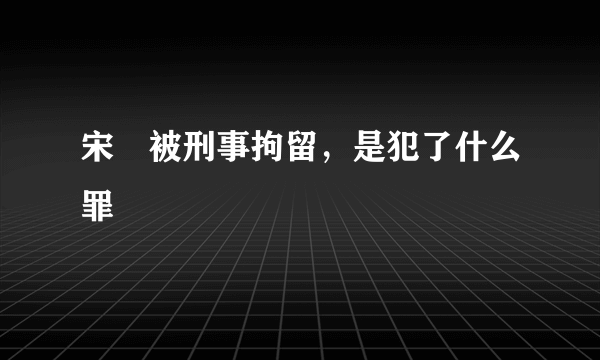 宋喆被刑事拘留，是犯了什么罪