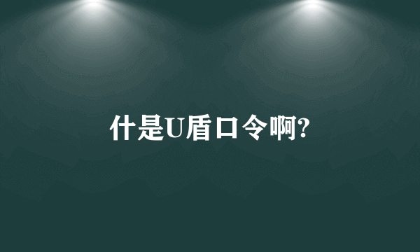 什是U盾口令啊?