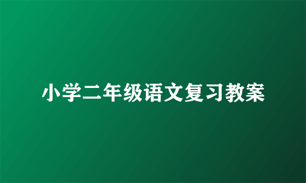 小学二年级语文复习教案