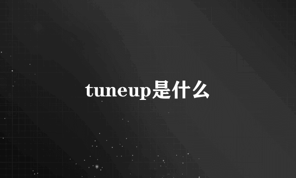 tuneup是什么