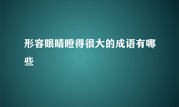 形容眼睛瞪得很大的成语有哪些