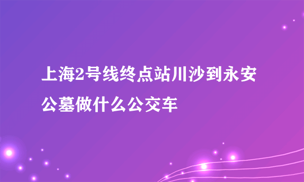 上海2号线终点站川沙到永安公墓做什么公交车