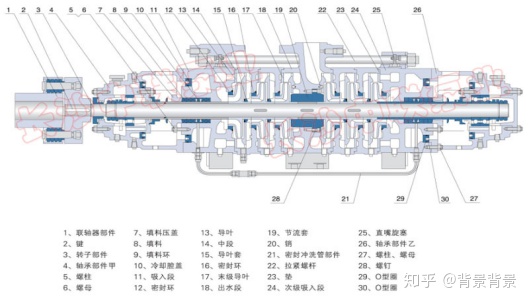 水泵的结构组成？