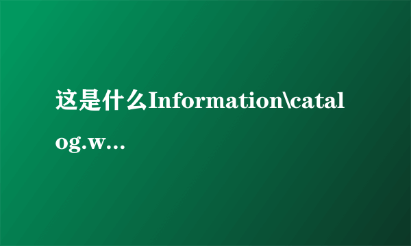 这是什么Information\catalog.wci\00010004.ci？