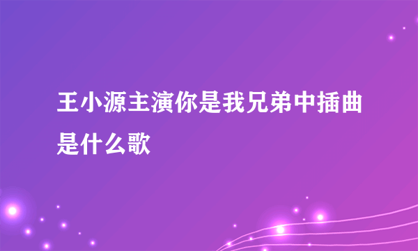 王小源主演你是我兄弟中插曲是什么歌