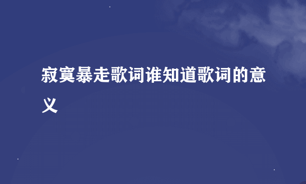 寂寞暴走歌词谁知道歌词的意义