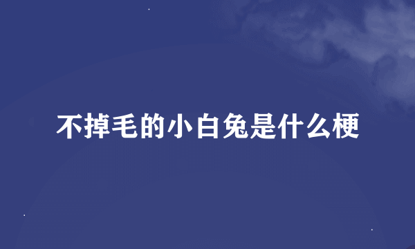 不掉毛的小白兔是什么梗