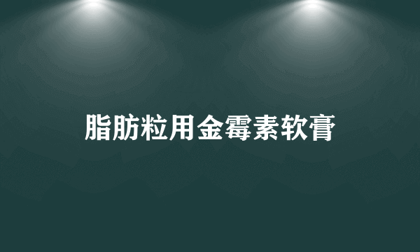 脂肪粒用金霉素软膏