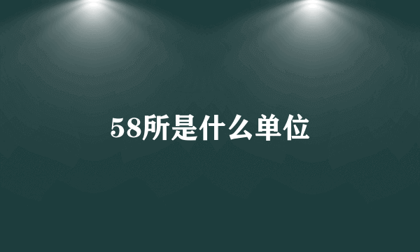 58所是什么单位