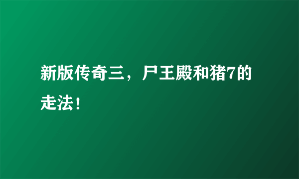 新版传奇三，尸王殿和猪7的走法！